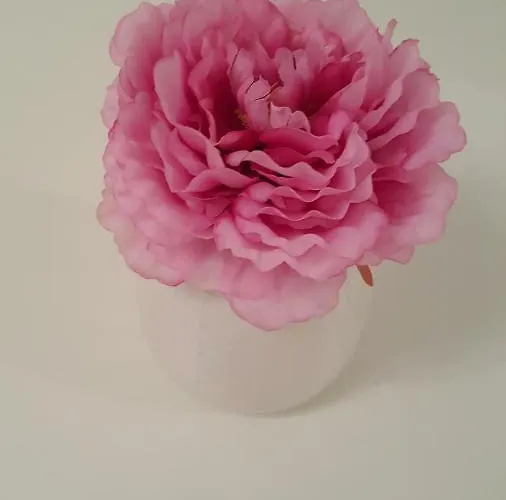 Mimi * Макарска