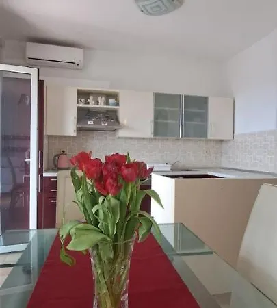 Mimi * マカルスカ