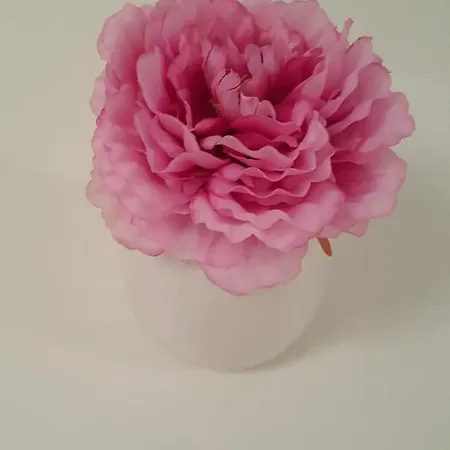 Mimi * マカルスカ