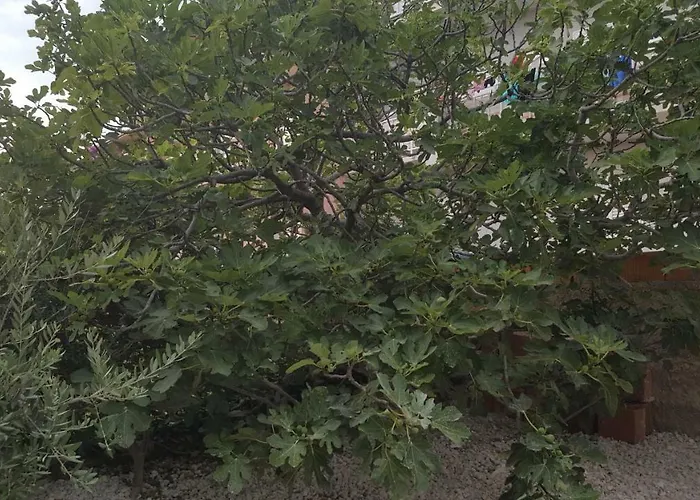 Mimi Apartman Makarska